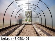 A new greenhouse made of polyethylene and polycarbonate with new beds made of Wood-polymer composite. Preparing for the spring garden season. Installation of a greenhouse in a suburban area. Стоковое фото, фотограф Photojuli / Фотобанк Лори