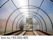 A new greenhouse made of polyethylene and polycarbonate with new beds made of Wood-polymer composite. Preparing for the spring garden season. Installation of a greenhouse in a suburban area. Стоковое фото, фотограф Photojuli / Фотобанк Лори