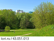 Picturesque spring in Mitino landscape park. Moscow, Russia (2024 год). Стоковое фото, фотограф Валерия Попова / Фотобанк Лори