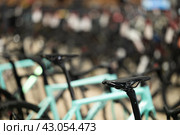 Modern sports bicycle saddles in shop. Rows of various sports bikes in bicycle shop. Стоковое фото, фотограф Яков Филимонов / Фотобанк Лори
