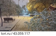 Снегопад в мае. Стоковое видео, видеограф Андрей Тонков / Фотобанк Лори