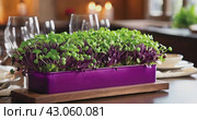 Juicy healthy microgreens in the kitchen interior. Стоковое AI-видео, аниматор Александр Довянский / Фотобанк Лори