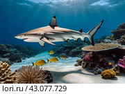 Blacktip ocean shark swimming in tropical underwaters. Sharks in underwater world. Observation of animal world. Scuba diving adventure in South Africa coast of RSA. Стоковое AI-изображение, AI-художник Aleksandr Golubev / Фотобанк Лори