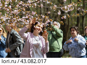 Красивая женщина фотографируется с ветками сакуры (2024 год). Редакционное фото, фотограф Андрей Иванов / Фотобанк Лори