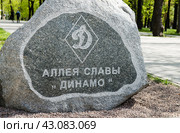 Аллея славы «Динамо». Москва. Россия (2024 год). Редакционное фото, фотограф E. O. / Фотобанк Лори