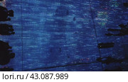 Музей цифрового искусства teamLab Borderless в Токио, Япония (2024 год). Редакционное видео, видеограф Владимир Макеев / Фотобанк Лори