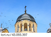 Голуби и купола Крестовоздвиженского собора, Свято-Николаевский Верхотурский мужской монастырь (2018 год). Стоковое фото, фотограф Алексей Иванов / Фотобанк Лори