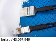 Две черные кисти лежат в синем пластмассовом лотке с белой краской. Инструмент штукатура-маляра. Красочный фон в стиле гранж/ Two paint brushes on a blue plastic tray with white paint. Стоковое фото, фотограф Iva Noel / Фотобанк Лори