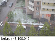 Майская метель в Москве. Непогода разгулялась, косой снег идет без остановки и засыпает зеленые деревья, дорогу, тротуары, машины (2024 год). Редакционное фото, фотограф Наталья Николаева / Фотобанк Лори