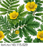 Potentilla anserina with yellow flowers. Стоковое AI-изображение, AI-художник Любовь Назарова / Фотобанк Лори