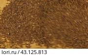 Гречневая крупа, падающая на фоне дерева, вид сверху. buckwheat falling on the wooden background. Стоковое видео, видеограф Александр Собко / Фотобанк Лори