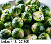 Brussels sprout is Gemmifera cultivar group of cabbage Brassica oleracea, grown for edible buds. Brussels sprouts are cultivar cruciferous group. Family Brassicaceae, old name Cruciferae. Generated AI. Стоковое AI-изображение, AI-художник Юлия Петровская / Фотобанк Лори