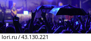 People are excited during street rock concert. They dance. Man gesturing - rocker sign OK. Sign of the horns. Blue neon  lighting. Light beams. Night life of big city. Back view. Street photography. Стоковое фото, фотограф YuryKara / Фотобанк Лори