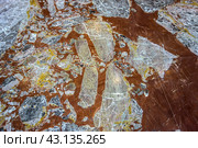 High resolution marble background. Fragment of antique marble floor. Colorful natural background. Стоковое фото, фотограф Iva Noel / Фотобанк Лори