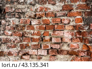 Текстура винтажной старинной кладки из красного кирпича. Старая полуразрушенная кирпичная стена, фон/ Texture of a dilapidated brick wall. Стоковое фото, фотограф Iva Noel / Фотобанк Лори