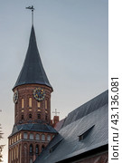 Калининград, Кафедральный собор (2023 год). Стоковое фото, фотограф Илья Канашкин / Фотобанк Лори