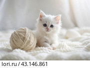 Pets. A small fluffy white kitten is playing with a ball of yarn on a white bed. A curious kitten lies on a white blanket and looks at the camera. Textiles, knitting. Стоковое AI-изображение, AI-художник Photojuli / Фотобанк Лори