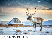 Reindeer graze against the background of a tundra landscape and a winter yurt. Snow is falling. Snowstorm. Стоковое AI-изображение, AI-художник Photojuli / Фотобанк Лори