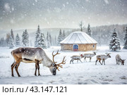Reindeer graze against the background of a tundra landscape and a winter yurt. Snow is falling. Snowstorm. Стоковое AI-изображение, AI-художник Photojuli / Фотобанк Лори