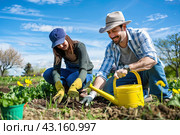 A married couple takes care of seedlings in the garden. Work is a pleasure. Стоковое AI-изображение, AI-художник Ярославский Максим / Фотобанк Лори