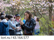 Красивая молодая женщина фотографирует  цветы  сакуры в парке (2024 год). Редакционное фото, фотограф Андрей Иванов / Фотобанк Лори
