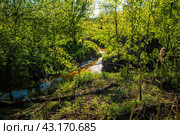Место слияния двух небольших речек (реки Рахма и Старка) Стоковое фото, фотограф Илья Старков / Фотобанк Лори
