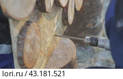 People screw screws into a stump and a wooden panel  люди вкручивают шурупы в пень и деревянную панель. Стоковое видео, видеограф Опока Алексей / Фотобанк Лори