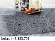 Asphalt rammer. laying the road surface. Стоковое фото, фотограф Радомир Тарасов / Фотобанк Лори