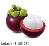 Mangosteen with leaf and cut half isolated on white background. Стоковое фото, фотограф Катерина Ковалева / Фотобанк Лори