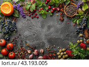 An eco-concept in which bright and varied fresh fruits, berries, vegetables and spices create a natural frame on a dark background. The focus remains on natural products that highlight the beauty and richness of nature. Стоковое AI-изображение, AI-художник Анна Кривицкая / Фотобанк Лори