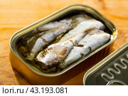 Pilchards in oil. Стоковое фото, фотограф Яков Филимонов / Фотобанк Лори