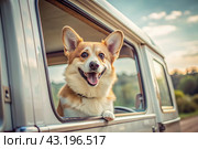 The concept of traveling with animals. A dog sticks its head out of the window of a car, a tourist van during a trip on a hot sunny day. Стоковое AI-изображение, AI-художник Photojuli / Фотобанк Лори