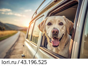 The concept of traveling with animals. A dog sticks its head out of the window of a car, a tourist van during a trip on a hot sunny day. Стоковое AI-изображение, AI-художник Photojuli / Фотобанк Лори