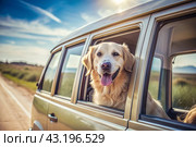 The concept of traveling with animals. A dog sticks its head out of the window of a car, a tourist van during a trip on a hot sunny day. Стоковое AI-изображение, AI-художник Photojuli / Фотобанк Лори