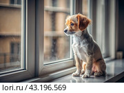 Leaving the animal alone at home. A sad little puppy looks out the window and waits for its owner. Стоковое AI-изображение, AI-художник Photojuli / Фотобанк Лори