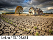 The concept of global warming on planet Earth. Dry and cracked earth and a field of wheat. The farmer's wheat crop is dead, dead, withered. The effects of climate change. Стоковое AI-изображение, AI-художник Photojuli / Фотобанк Лори