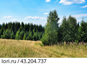 Полевая дорога. Гора Шихан. Окрестности старинного русского поселка Висим. Свердловская область, Урал, Россия (2016 год). Стоковое фото, фотограф Александр Тараканов / Фотобанк Лори