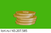 Gold coins in cartoon style are falling in stacks on a green background. Money, bank, loans. A gold coin with a dollar symbol is tilted and rotated. Coin for casino. Donations. Стоковая анимация, аниматор Alexander / Фотобанк Лори