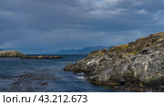 Seabirds- petrels, cormorants are settled on the slope of a rocky island in the ocean. The waves are foaming at the cliffs. Algae on the surface of blue water. Mountains against the sky and clouds. Стоковое фото, фотограф Вера Ивановна Кубарева / Фотобанк Лори