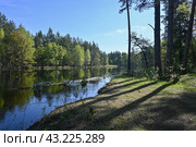 Мещерский национальный парк, река Пра в середине мая. Стоковое фото, фотограф Сергей Дрозд / Фотобанк Лори