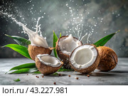 Splashes of coconut milk and palm leaves. Coconuts with a milky splash on a gray background. A banner for sweets, spa cosmetics or creams for body and face care. Стоковое AI-изображение, AI-художник Photojuli / Фотобанк Лори