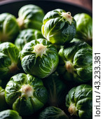Brussels sprout is Gemmifera cultivar group of cabbage Brassica oleracea, grown for edible buds. Brussels sprouts are cultivar cruciferous group. Family Brassicaceae, old name Cruciferae. Generated AI. Стоковое AI-изображение, AI-художник Юлия Петровская / Фотобанк Лори