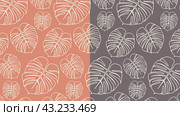 Повторяющийся контурный узор из листьев монстеры. Repeating contour pattern of monstera leaves. Редакционная иллюстрация, иллюстратор Ирина Щербакова / Фотобанк Лори