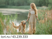 Owner and happy dog on the grass walking in summer day. Стоковое AI-изображение, AI-художник Ирина Ручушкина / Фотобанк Лори