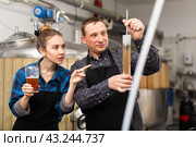 Experienced brewer with female assistant measuring beer gravity with hydrometer. Стоковое фото, фотограф Яков Филимонов / Фотобанк Лори