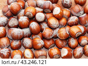 Орехи фундук. Фоновое изображение.  Hazelnuts lay evenly on a wooden surface. Close-up. Can be used as a natural background, texture. Стоковое фото, фотограф Лариса Гордеева / Фотобанк Лори