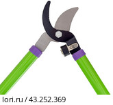 Садовый секатор на белом фоне. Gardening secateurs for cutting branches isolated on white. Стоковое фото, фотограф Татьяна Д / Фотобанк Лори