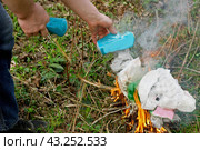 Человек, который сжигает мусор в лесу./ The man who burns trash in the woods. Стоковое фото, фотограф Наталья Баранова / Фотобанк Лори