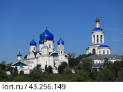 Свято-Боголюбский женский монастырь (2023 год). Стоковое фото, фотограф Владимир Грибков / Фотобанк Лори