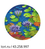 Акварельная иллюстрация с кувшинками, лотосами, водяными лилиями. Watercolor hand drawn water lilies and green round leaves in the blue pond. Round illustration isolated on white background. Стоковая иллюстрация, иллюстратор Карнаухова Елена / Фотобанк Лори
